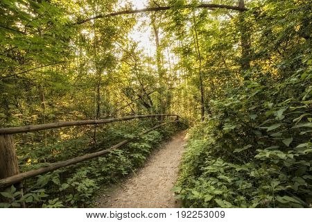 Roztocze (Roztochia) National Park. Tourist path near cascades on Sopot river. Czartowe Pole (Devil's Field) reservation.