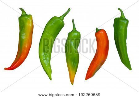 Five separated peppers on a white background