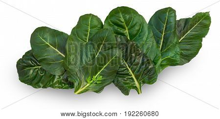 Chard leaves (leafy green vegetable) on white background