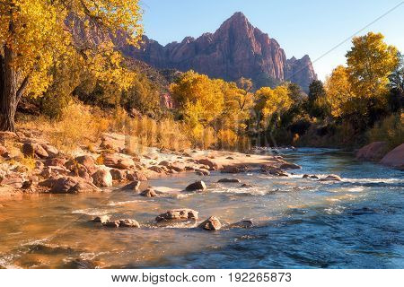 View Of The Watchman Mountain And The Virgin River In Zion National Park