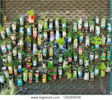 BERLIN, GERMANY - June 2, 2017: Old beverage cartons used as plant pots hanging on window grate. Urban guerilla gardening in Berlin City.