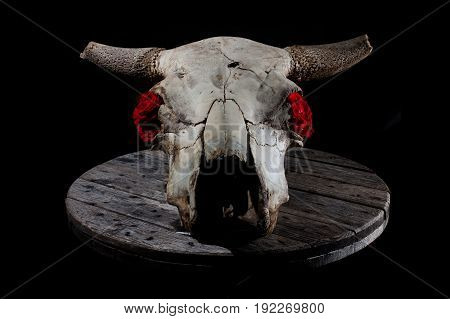 Cow skull decorated with roses, laying on a grey wooden plate, with strong biker / rock n roll / goth vibes.