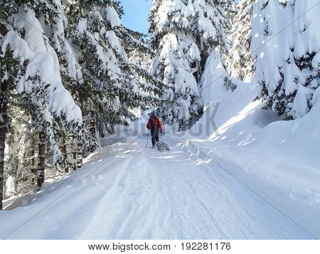 Val Blenio. Snowy Path