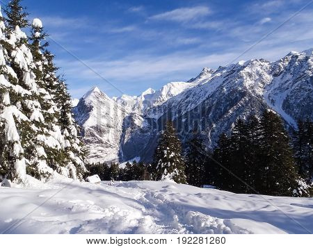 Val Blenio. Snowy Path