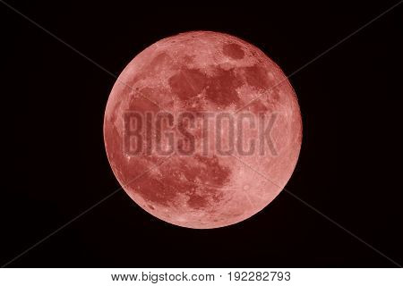 Full Blood moon on the dark night