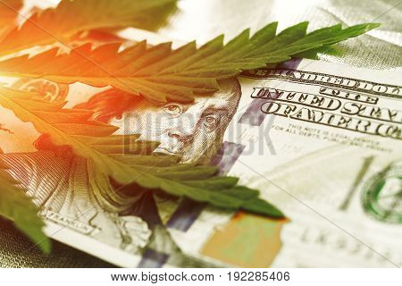 Marijuana Goes Out For A Hundred Dollar Bills. Money With Marijuana Leaves Close-up, High Quality. H
