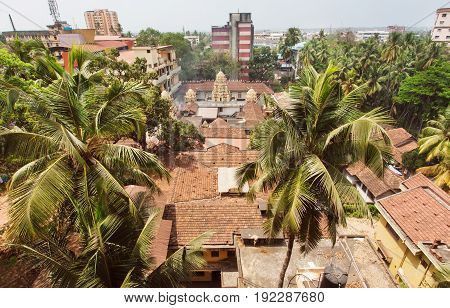 MANGALORE, INDIA - FEB 24, 2017: Landcape of indian city with palm trees and tiles roof and tall buildings on February 24, 2017. With population of 500000 Mangalore is chief port city of Karnataka