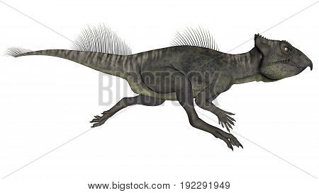 Archaeoceratops dinosaur running isolated in white background - 3D render