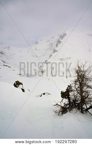 landscape in formazza valley during winter in italy