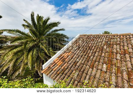 At The Pico Vermelho Windmill On The Coast Of Sao Miguel Island