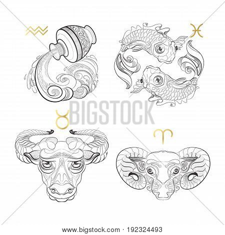 Hand drawn line art of decorative zodiac sign.  Aquarius Pisces Taurus Aries on white background. Horoscope vintage card in doodle style.