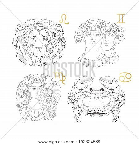 Hand drawn line art of decorative zodiac sign.  Leo Gemini Virgo Cancer on white background. Horoscope vintage card in doodle style.