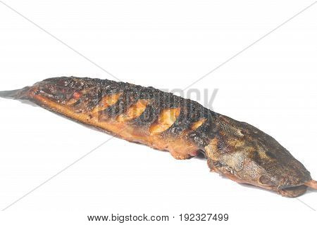 Big Catfish grill isolated on white background