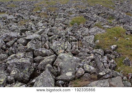The stone river. Kurumnik - a gray stone placer Northern Urals. Russia. A lot of stones.