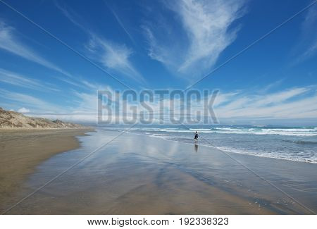 Serenity and tranquility in New Zealand. Woman in the sea background enjoying ocean and nice views in Ninety Mile Beach, North Island New Zealand