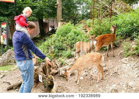 People Who Feed And Pat The Fawns At The Zoo