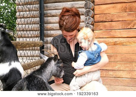 Woman With Child Who Pat The Goat At The Zoo