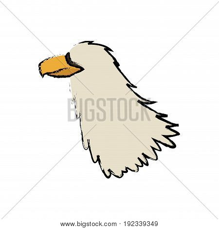 griffo head feather predator animal vector illustration