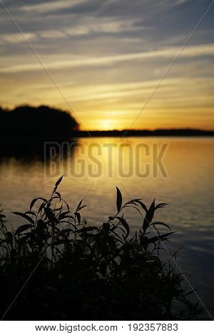 Landscape with a lake. Ukraine. Shatskie lakes.