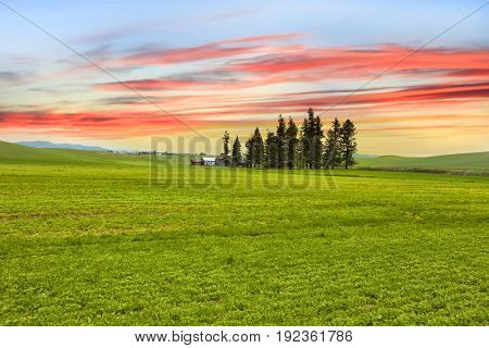 Palouse landscape with colorful sky background