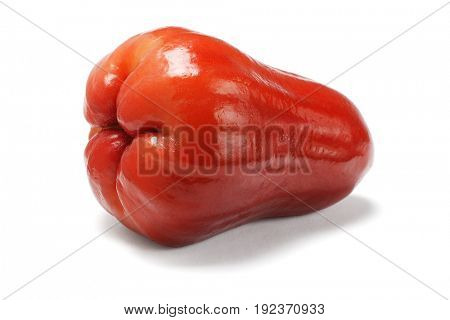 Fresh Watery Rose Apple Fruit on White Background