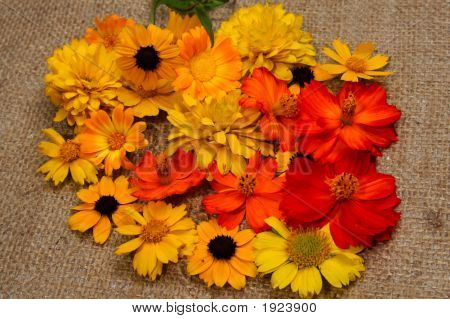 Blomster