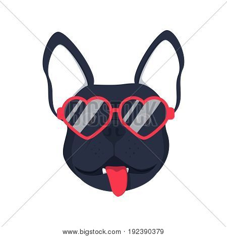 French bulldog dog head dog face illustration .Beautiful french bulldog puppy black fawn dog looks out the glasses. Dog in glasses adorable picture