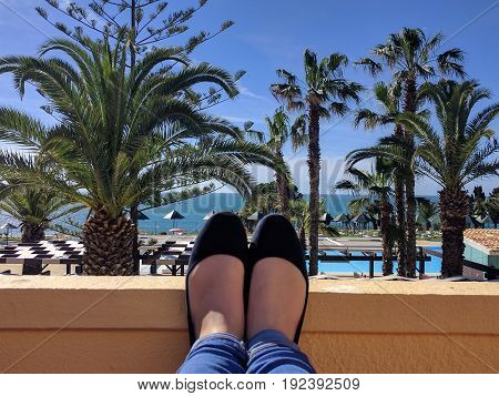Looking out to the palm trees on beach holiday