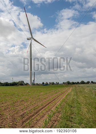 Newly built windmill between fields with corn and cloudy sky