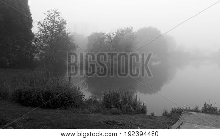 a foggy morning in the park of Boeblingen