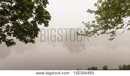 a foggy morning in the park of Boeblingen