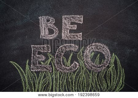 Be eco writing with green grassl drawn with chalk on blackboard
