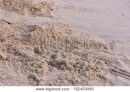 Wet sand on the beach can use for blackground