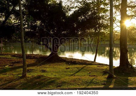 lake in a park with ray of light