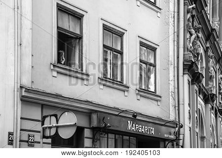 Woman An Window Of Apartment House In Old Riga