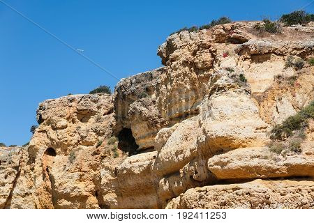 Eroded Sandstone Rock On Beach Of Atlantic Ocean