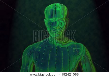 Medical acupuncture model of human head on black background