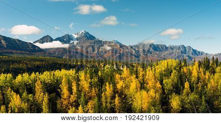 Fall is approaching in the Chugach National Forest Alaska