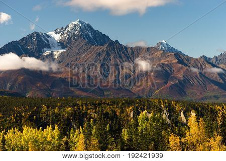 Fall is approaching in the Chugach National Forest Alaska
