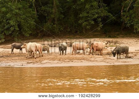 Landscape of Nong Khiaw and Ou river, Laos southeast asia