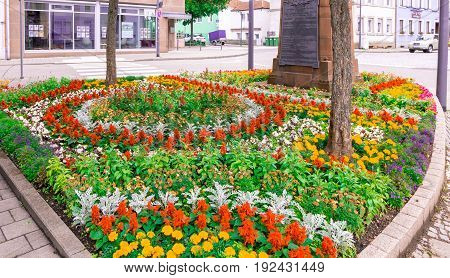 a bed of flowers on a German street corner