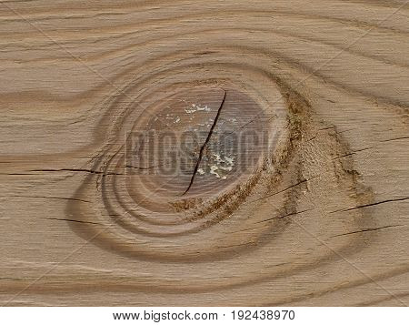 wodden structure, pine close up / macro