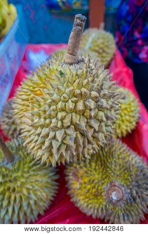 King of fruits, durian in the fruit market, close up, Ubud Bali, Indonesia.