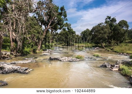 Tamil Nadu India - October 26 2013: Landscape shot of Moyar River in Masamigulli Forest. Brownish water flows over rocks through the green jungle under blue sky with white clouds.