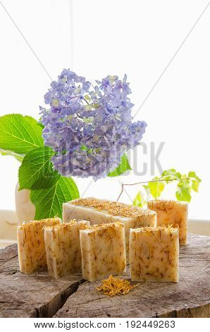 Homemade Calendula Natural Herbal Soap