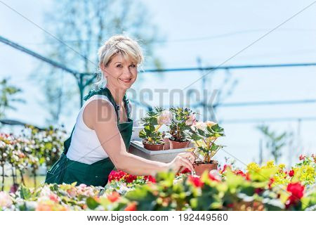 Attractive gardener selecting flowers in a gardening center. Work concept.
