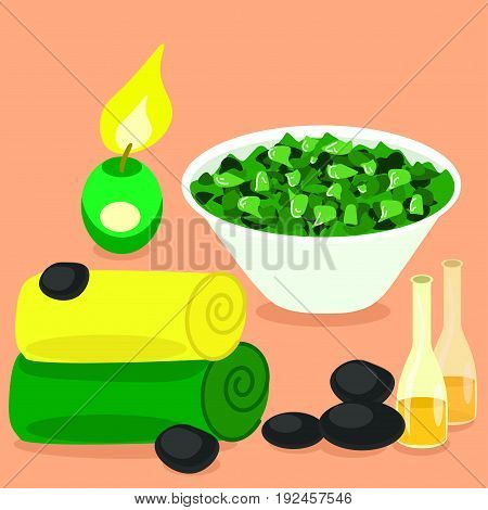Vector set of spa jbjects for body care isolated on the pink background
