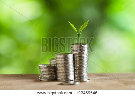 Coin Money Piles Of Coins Trees on the pile of money Economy, Investment And Saving Concept