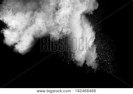white Powder explosion on black background. White dust explode.