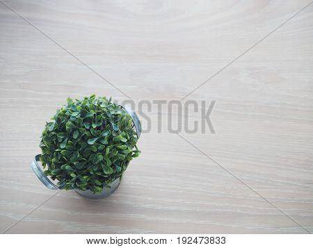 wood office table with free copy space for text and small garden tree on pot. select focus on paper.